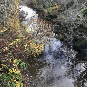 Meet your Posher, Satchel